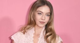 Sydney Sweeney Quietly Gave One of Her Strongest Performances in This 90% RT HBO Series