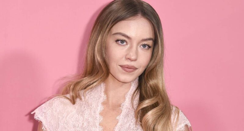 Sydney Sweeney Quietly Gave One of Her Strongest Performances in This 90% RT HBO Series