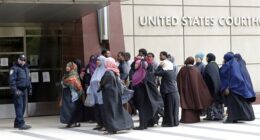 Taxpayer Supported Bantu Farming in Exotic *checks notes* Maine – HotAir