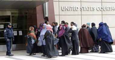 Taxpayer Supported Bantu Farming in Exotic *checks notes* Maine – HotAir