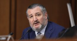 Ted Cruz Has a Good Guess as to When the Schumer Shutdown Is Likely to End, and Why – RedState