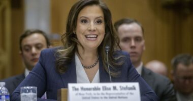 That Damp, Warm, Wet Spot on Hochul's Neck Is Elise Stefanik's Breath – HotAir