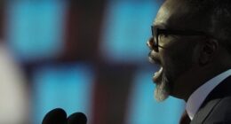 The Bear of Little Brains Is a Chicago Dog – HotAir