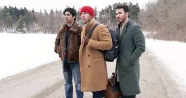 The Brothers' Disney Reunion Is a Delightfully Cheesy Holiday Musical