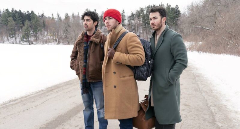 The Brothers' Disney Reunion Is a Delightfully Cheesy Holiday Musical