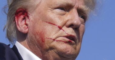 The Dam Breaks on Thomas Crooks Social Media – HotAir