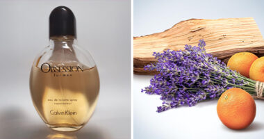 The Great Black Friday Restocking Of Your Vanity Starts With These 16 Holy Grail Beauty Deals