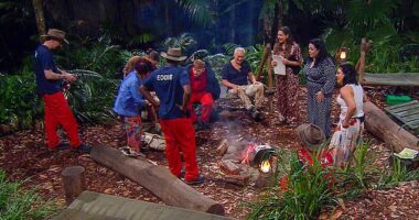 It is no larger than a small studio apartment. But for three weeks, 12 celebrities cram into the same patch of Australian jungle where they are expected to eat, sleep, exercise, and exist with little to no intervention from the world outside