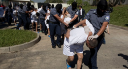 The New Yorker Goes to Bat for Model (Non) Citizen – HotAir