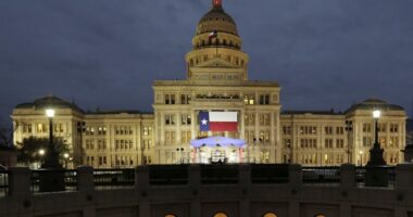 The Shamwow Guy Is Running for Office in Texas (He's a Fan of Charlie Kirk) – HotAir