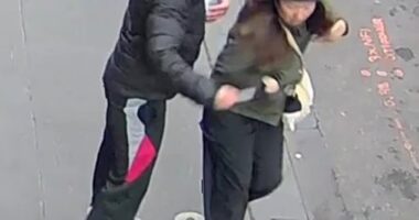 Lauren Darul (allegedly left) is accused of stabbing sushi chef Wan Lai