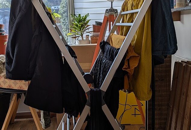 They require a lot of space but heated airers really do work and are cheap to run.