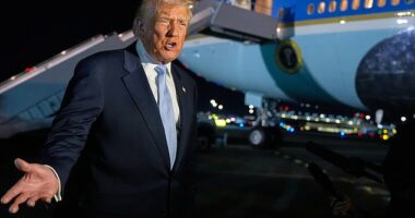 President Donald Trump snapped at reporters before boarding Air Force One on Sunday night as he was grilled over the 'Epstein files' - shortly before he U-turned and told Republicans to vote to vote to release them