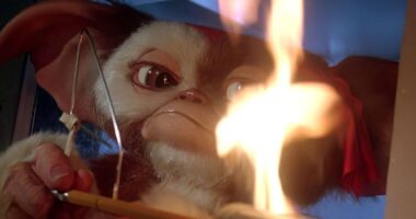 These 10 Horror Movies Are Too Much (in the Best Possible Way)