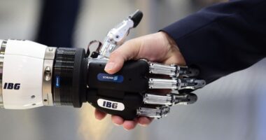 Think robotics stocks are overhyped? In fact, they’re just taking off.