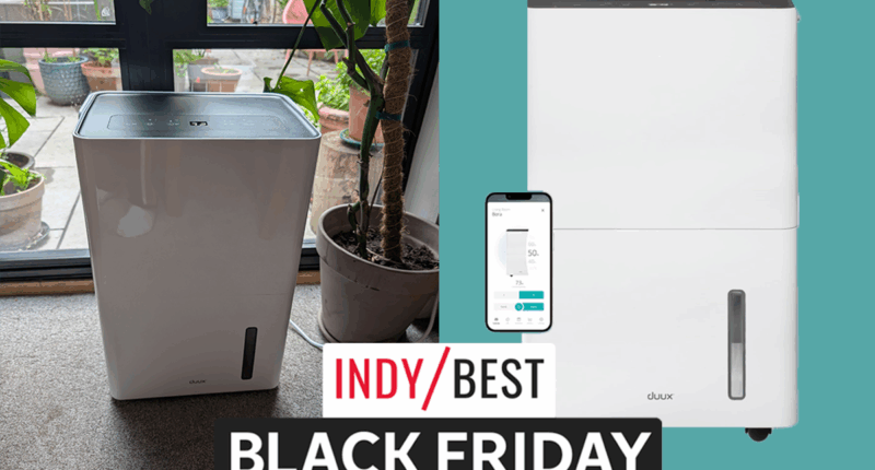 This expert-approved dehumidifier has been reduced by £100 for Black Friday