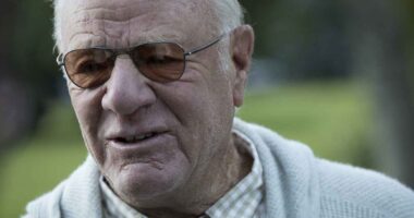 This media and internet company says Google’s AI has been a revenue killer