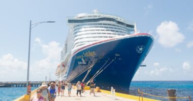 This year’s Black Friday cruise deals can save you hundreds of dollars. Six tips for shopping the sales.