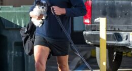 Tom Brady is seen with his two dogs, including his new pooch, Junie (right), which is a clone