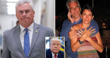 The top Jeffrey Epstein investigator on Capitol Hill is worried that his magnum opus may fall flat. House Oversight Committee Chairman James Comer, a Republican from Kentucky , has been poring over emails, letters, and personal effects belonging to the late sexual offender since July. His probe focuses on how the government handled Epstein's case, the circumstances of his 2019 death in a New York federal prison, ruled a suicide, the financier's sexual trafficking operation and potential violations involving elected officials.