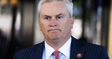 House Oversight Committee Chairman James Comer vented to Politico 'nobody will ever believe' a final government report on Jeffrey Epstein