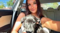 Hallie Blake, 19, reported a potential poisoning to authorities after her dog had to be euthanized due to kidney failure
