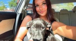 Hallie Blake, 19, reported a potential poisoning to authorities after her dog had to be euthanized due to kidney failure