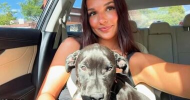 Hallie Blake, 19, reported a potential poisoning to authorities after her dog had to be euthanized due to kidney failure