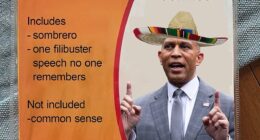 The White House posted this image of a Hakeem Jeffries Spirit Halloween costume which includes a sombrero but no 'common sense'