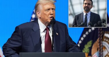 Donald Trump publicly reprimanded Republicans for not touting his agenda enough during the 2025 campaign season to win more elections on Tuesday night. And he warned the results could begin a slippery slope of plunging the United States into communist rule if more progressives are voted into office. The president tackled the stunning Republican election losses, and advised on how they could win more elections – and while largely avoiding naming the winners and losers, Trump finally mentioned New York City mayor-elect Zohran Mamdani by name just once when talking about how Republicans are keeping men out of women's sports.