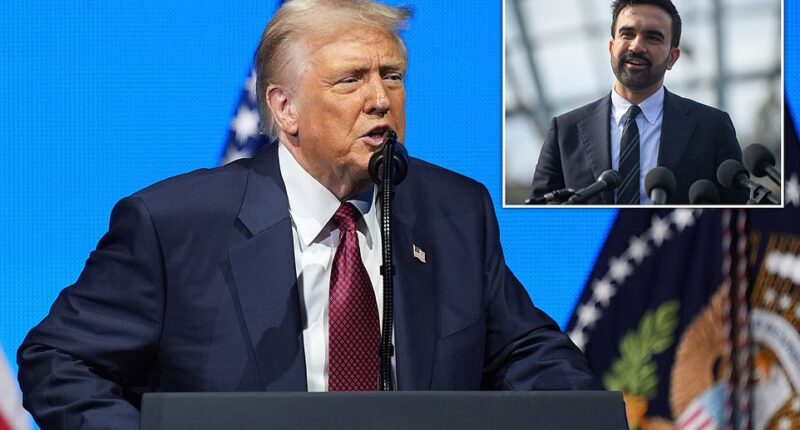 Donald Trump publicly reprimanded Republicans for not touting his agenda enough during the 2025 campaign season to win more elections on Tuesday night. And he warned the results could begin a slippery slope of plunging the United States into communist rule if more progressives are voted into office. The president tackled the stunning Republican election losses, and advised on how they could win more elections – and while largely avoiding naming the winners and losers, Trump finally mentioned New York City mayor-elect Zohran Mamdani by name just once when talking about how Republicans are keeping men out of women's sports.