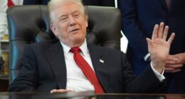 Trump Calls Democrats' Bluff, Demands Republicans Release the Epstein Files – RedState