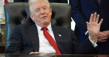 Trump Calls Democrats' Bluff, Demands Republicans Release the Epstein Files – RedState