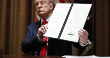 Trump Joins Texas in Sweeping Move Against Muslim Group – RedState