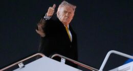 Trump Makes Indiana ‘RINO’ State Senators Famous in Blistering Takedown As They Defy Him on Redistricting – RedState