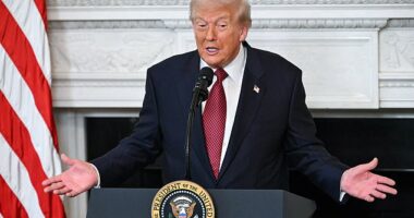 Donald Trump speaks to senators during a breakfast at the White House on Wednesday