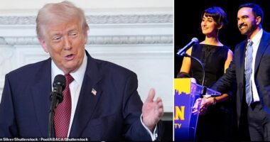 Donald Trump admitted the government shutdown contributed to Tuesday night's election losses for Republicans. While the president said he didn't expect his party to come out on top, he realizes the ongoing shutdown – now the longest in US history – could have hurt Republican candidates' chances even more.