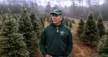 For Americans who haven't been following President Trump's tariff battles, the impact may still hit their wallets this holiday season