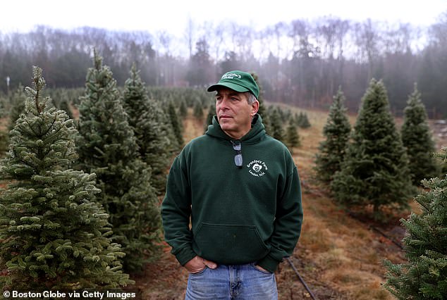 For Americans who haven't been following President Trump's tariff battles, the impact may still hit their wallets this holiday season