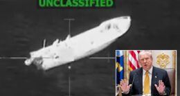 Donald Trump brought fire and death to the Pacific Ocean on Sunday against alleged narco-terrorists. 'Yesterday, at the direction of President Trump, two lethal kinetic strikes were conducted on two vessels operated by Designated Terrorist Organizations,' wrote Secretary of War Pete Hegseth on Monday morning. US intelligence discovered the the vessels were 'associated with illicit narcotics smuggling,' according to Hegseth.