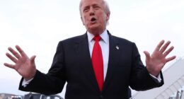 Trump floats idea of $2,000 tariff dividend checks to most Americans