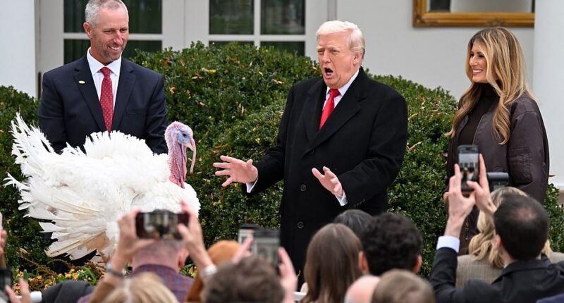 Donald Trump has pardoned two Thanksgiving turkeys, Gobble and Waddle, in the decades-old tradition. The president joked that he wanted to call them 'Chuck and Nancy' after Senate Minority Leader Schumer and former House Speaker Pelosi, but said he couldn't because he'd never pardon either of his Democratic foes. 'When I first saw their pictures... I was going to call them Chuck and Nancy,' Trump recalled.