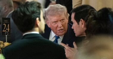 Donald Trump made a heartfelt confession to Secretary of State Marco Rubio about the First Lady at his Mar-a-Lago Halloween party