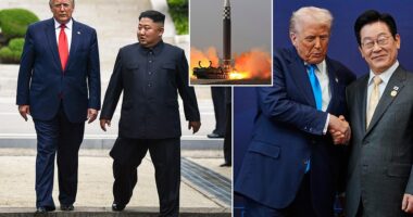 President Donald Trump promised South Korea 's president he would help solve the discord between North Korean leader Kim Jong-un and his southern neighbor. 'I won't forget the trip, and we'll be working together, and you have a little bit of a cloud over your country, and we're going to get that cloud solved,' Trump told South Korean President Lee Jae Myung at a banquet Wednesday evening. That cloud, previously referred to as 'little rocket man,' is Kim Jong-un, the belligerent leader of North Korea.