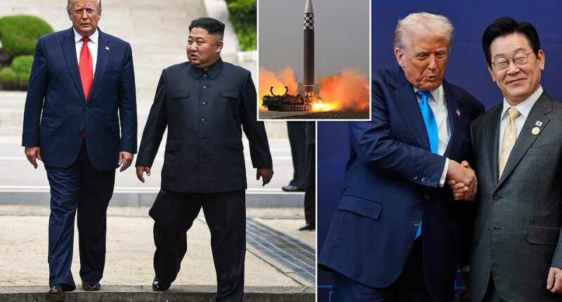 President Donald Trump promised South Korea 's president he would help solve the discord between North Korean leader Kim Jong-un and his southern neighbor. 'I won't forget the trip, and we'll be working together, and you have a little bit of a cloud over your country, and we're going to get that cloud solved,' Trump told South Korean President Lee Jae Myung at a banquet Wednesday evening. That cloud, previously referred to as 'little rocket man,' is Kim Jong-un, the belligerent leader of North Korea.