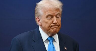 President Donald Trump's only scheduled events on Monday are two 'Tele-Rallies' for the Republican gubernatorial candidates in New Jersey and Virginia