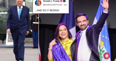 President Donald Trump immediately turned to spin the strong electoral victories by Democrats on Tuesday night far away from himself. 'Trump wasn't on the ballot, and shutdown were the two reasons that Republicans lost elections tonight,' according to Pollsters,' the president posted on social media as he watched the losses for Republicans pile up in Virginia, New Jersey and New York City. And when New York City mayor-elect Zohran Mamdani took the stage in Brooklyn to celebrate his historic victory, he made a prominent point to call out Trump by name.