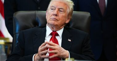 President Donald Trump has vowed to give a $2,000 check to every American, thanks to the tariff revenue his administration has collected