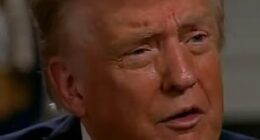 President Donald Trump speaks to Laura Ingraham