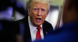 Trump suggests the stock market may fall if the Supreme Court throws out his tariffs. Is he right?